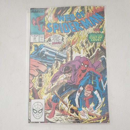 Web spiderman estimate - web, of