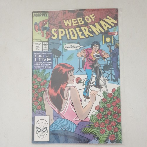Web spiderman estimate - web,