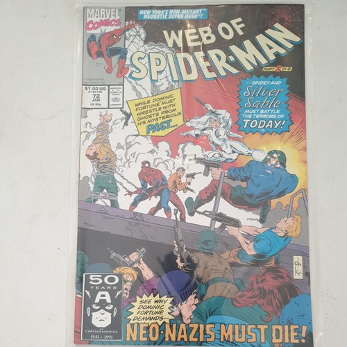 Web spiderman estimate - web, #72